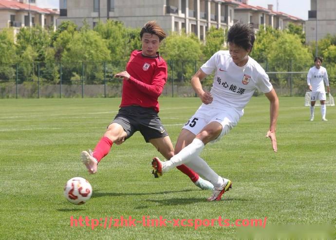 杏彩体育-法甲外援贡献全面解读：技术能力与团队融合评估