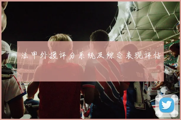 法甲外援评分系统及综合表现评估