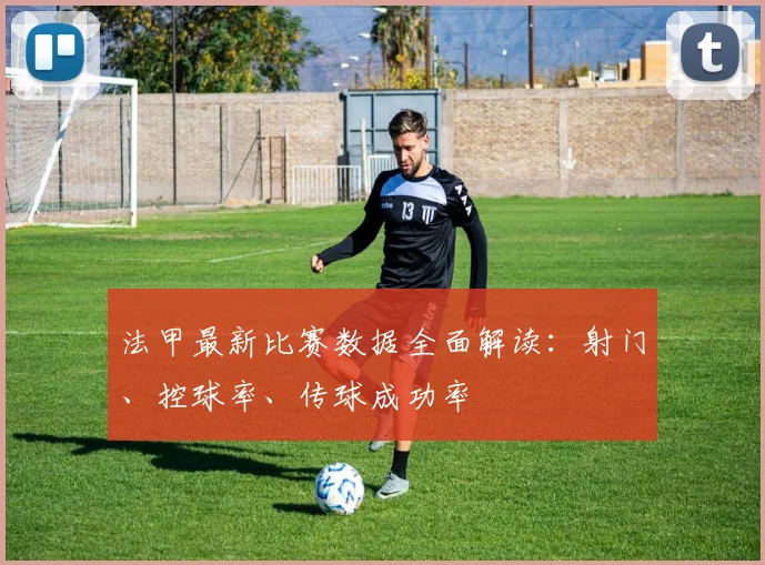 法甲最新比赛数据全面解读：射门、控球率、传球成功率