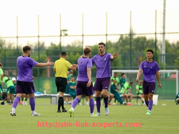 杏彩体育-法甲赛季数据变化趋势及球队表现波动分析